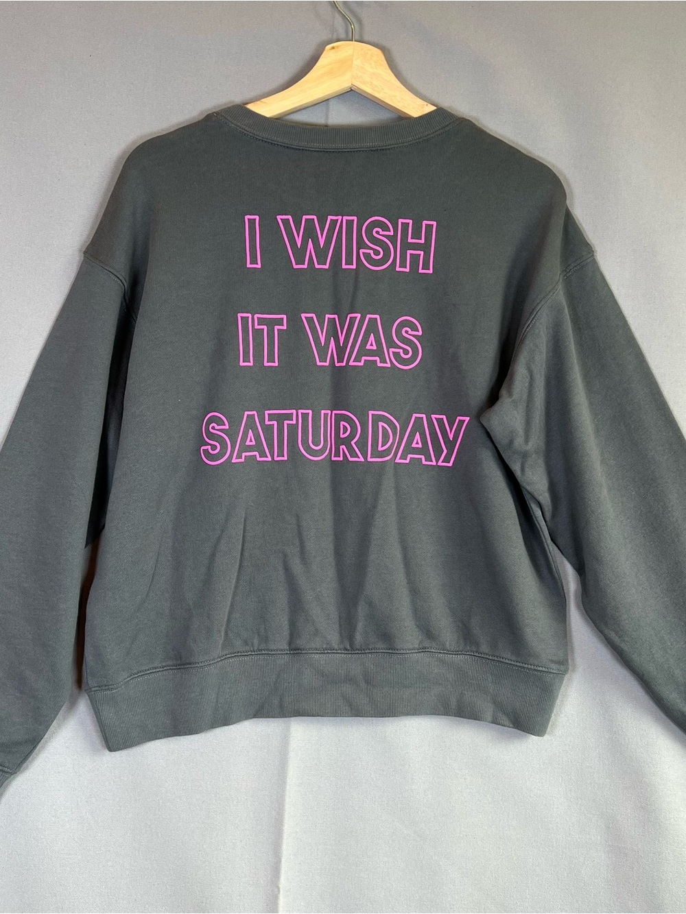WildFox SzS NWT Sweatshirt ‘I Wish It Was Saturday’ Dark Gray w/ Puffy Pink Text